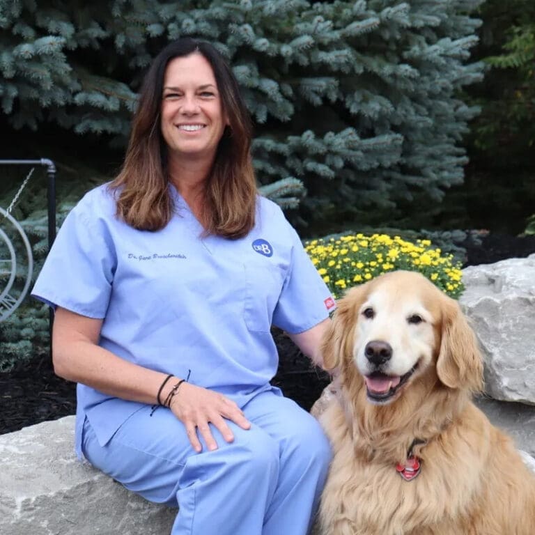 A woman in light blue scrubs, a dentist in Lansing, sits on a stone ledge outdoors, smiling next to a golden retriever. Green shrubs and yellow flowers are in the background as both look at the camera.