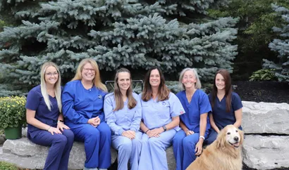 Six women in blue scrubs sit on stone benches outdoors in front of evergreen trees, smiling at the camera. A golden retriever sits on the ground at the far right, highlighting this friendly dental clinic team.
