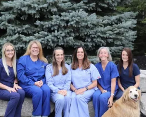Six women in blue scrubs sit on stone benches outdoors in front of evergreen trees, smiling at the camera. A golden retriever sits on the ground at the far right, highlighting this friendly dental clinic team.